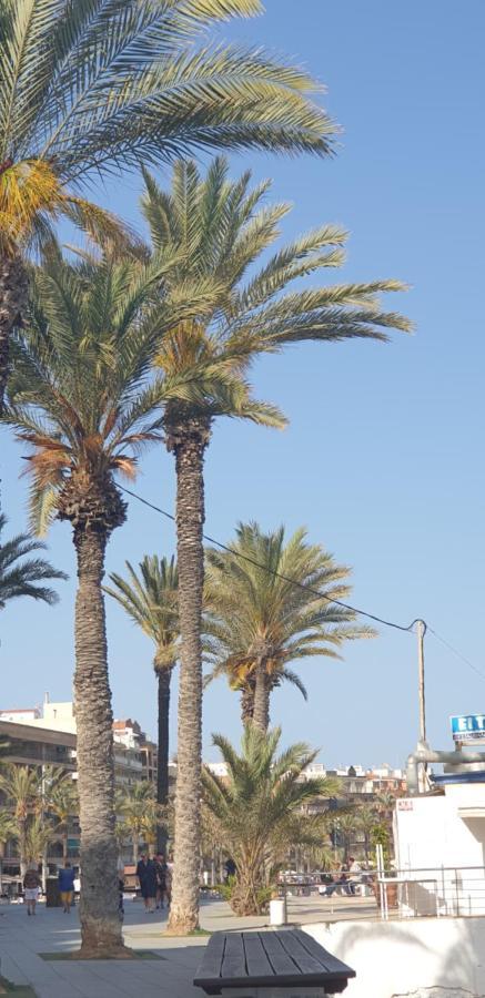 Costa Blanka Resident Apartman Torrevieja Exterior foto